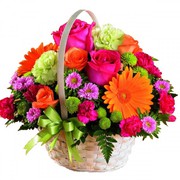 Buy Colorful Flowers for Events in Dublin - Jennas Flowers