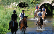 Go For The Equestrian Holidays In Ireland Right Away