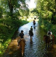 Visit Crossogue Equestrian for Wonderful Horse Riding Holidays