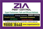 General pest control Bangalore | 8098