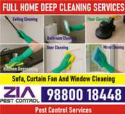 Service, Deep Cleaning, House Cleaning, Pest control Solution.